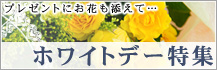 ホワイトデー特集