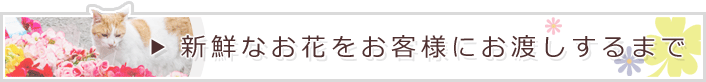 新鮮なお花をお客様にお渡しするまで