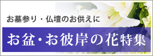 お盆・お彼岸特集