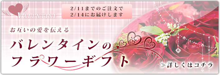 バレンタイン特集